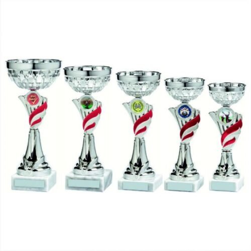 SILVER AND RED PRESENTATION CUPS