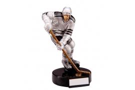 Ice Hockey Trophies