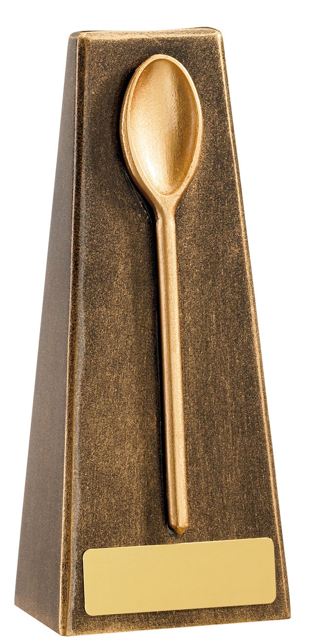 Wooden Spoon Award
