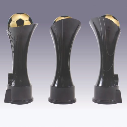 CLOAK FOOTBALL TROPHIES SIDE AND REAR VIEW