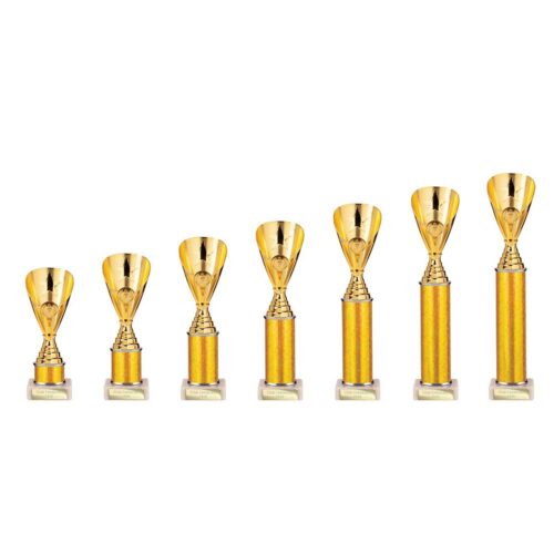 RISING STAR GOLD TROPHIES