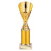 RISING STAR GOLD TROPHY