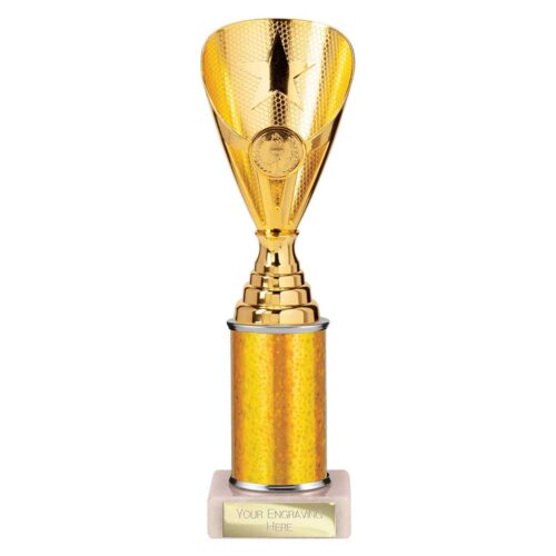 RISING STAR GOLD TROPHY